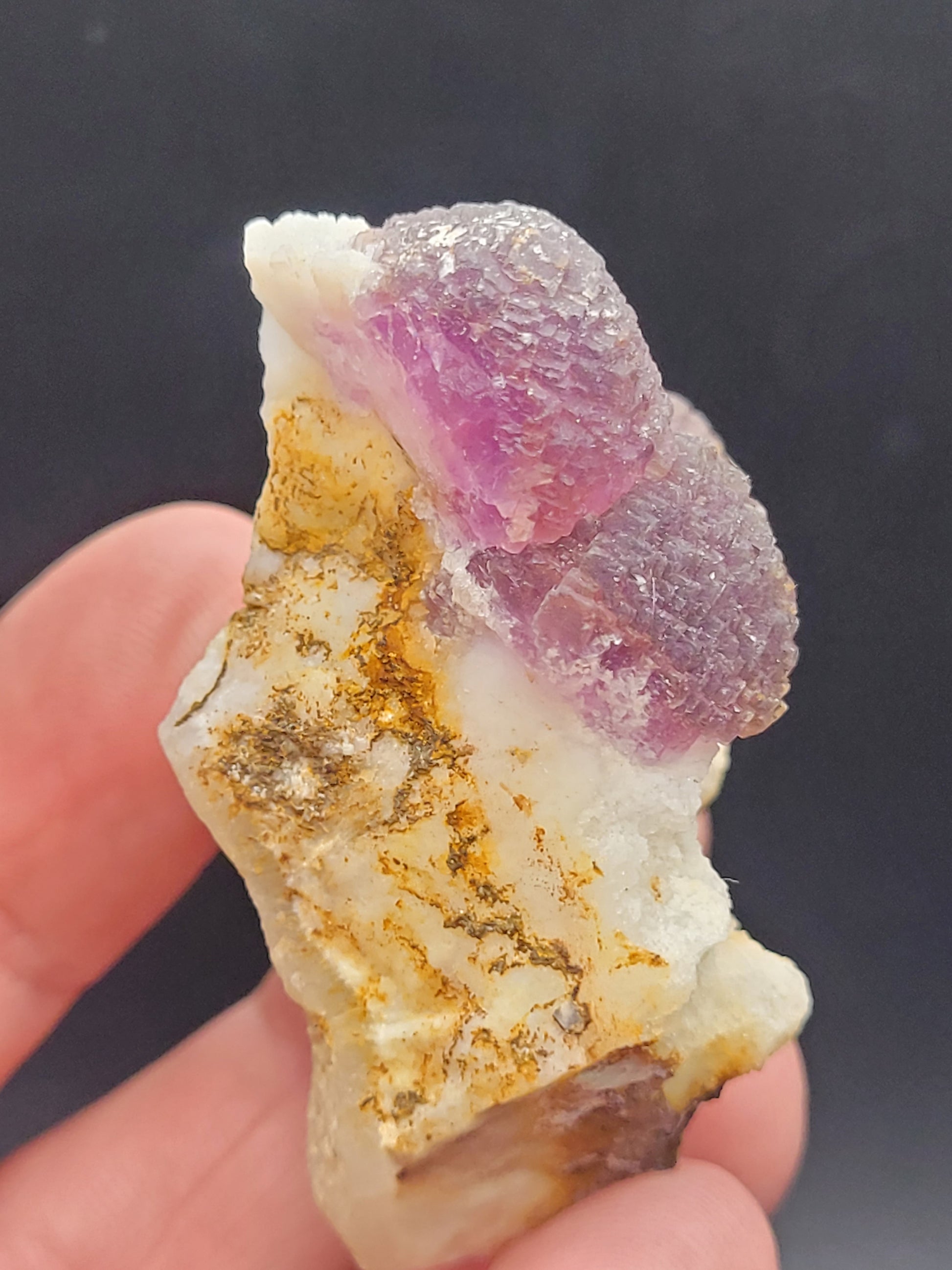 A hand holds a mineral specimen against a dark background. Known as "AUCTION- Fluorite" from The Crystalary, this exquisite piece originates from the Navidad Mine in Indé Municipality, Durango, Mexico. It features a cluster of translucent purple fluorite crystals atop an irregularly shaped rock base with white and yellow hues, showcasing a rough texture.