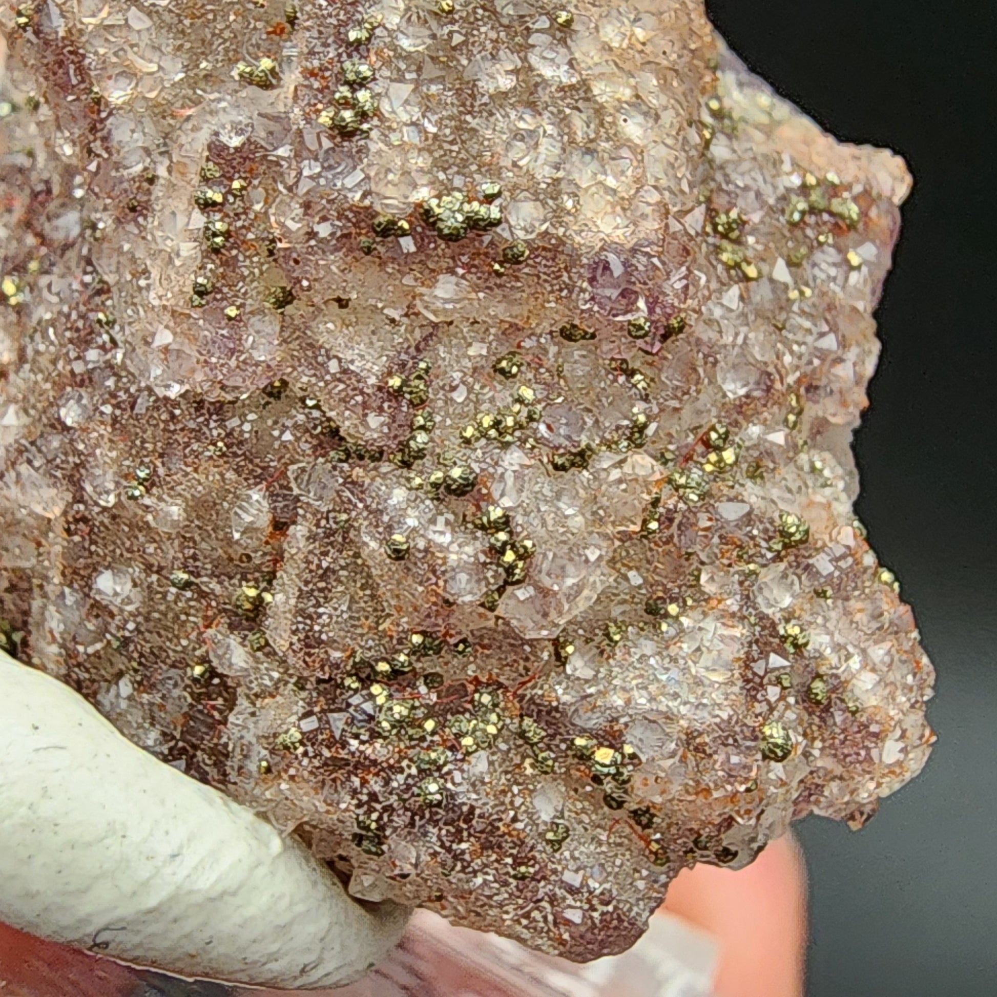 Close-up of a rock sample held by a gloved hand. Encrusted with tiny, shimmering crystals of Fluorite and Pyrite in various shades of brown and gold, it boasts a textured, sparkly appearance. The black background highlights the intricate details of the rock's surface, showcasing the beauty of the AUCTION Fluorite/Pyrite from The Crystalary, sourced from Hermine Mine in Lissenthan, Nabburg, Schwandorf District, Upper Palatinate, Bavaria, Germany.