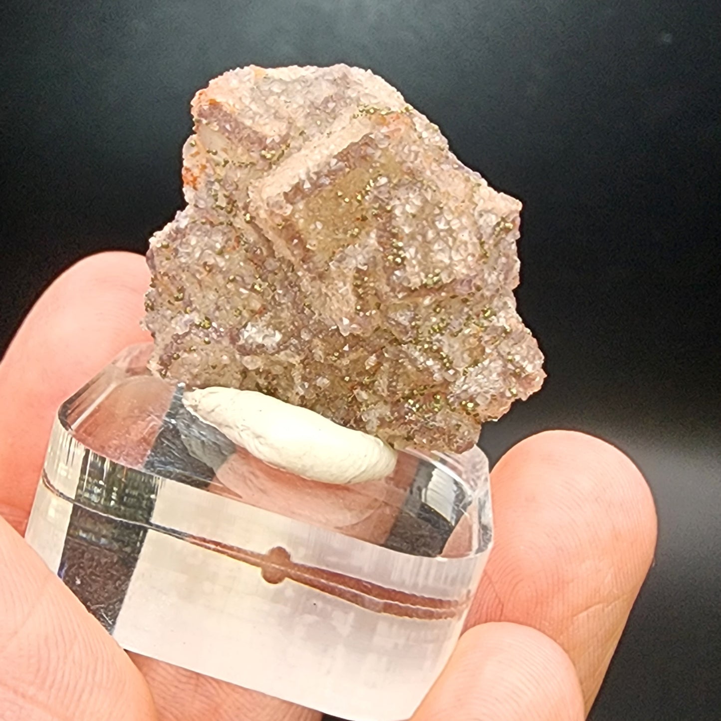 A hand holds an AUCTION Fluorite/Pyrite mineral specimen from The Crystalary, featuring a crystalline structure displayed on a small clear stand. The specimen, originating from the Hermine Mine in Lissenthan, Nabburg, Schwandorf District, Upper Palatinate, Bavaria, Germany, has a rough, sparkly surface with shades of light brown and subtle flecks of green. A solid black background highlights the beauty of this unique piece.