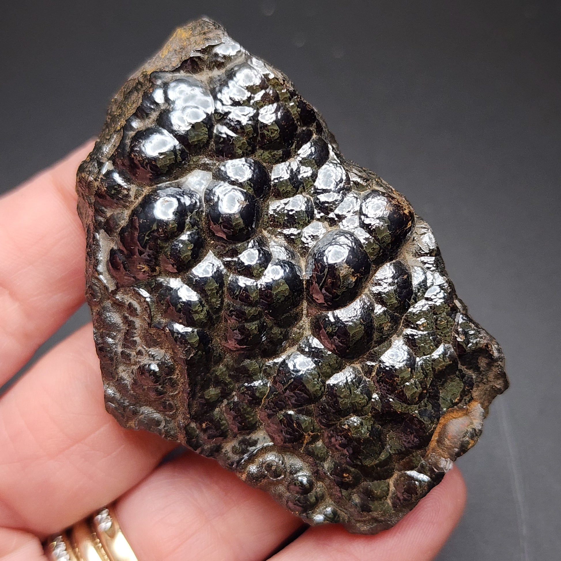 A hand holding a shiny, dark-colored specimen of Hematite var. Botryoidal from the Luis Lopez Manganese District in Socorro County, New Mexico. The rock, featured by The Crystalary and available through AUCTION, has a bumpy, lumpy texture with a metallic sheen that reflects light off its surface, highlighting the unique bubble-like formations typical of botryoidal hematite. The background is solid black.