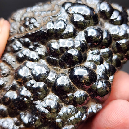 Close-up of a hand holding AUCTION- Hematite var. Botryoidal from the Luis Lopez Manganese District, Socorro Co., New Mexico, USA offered by The Crystalary. The shiny black rock has a bumpy, botryoidal hematite surface with a high luster finish that reflects light and exhibits a metallic texture. Its irregular shapes lend it a unique, almost organic appearance.