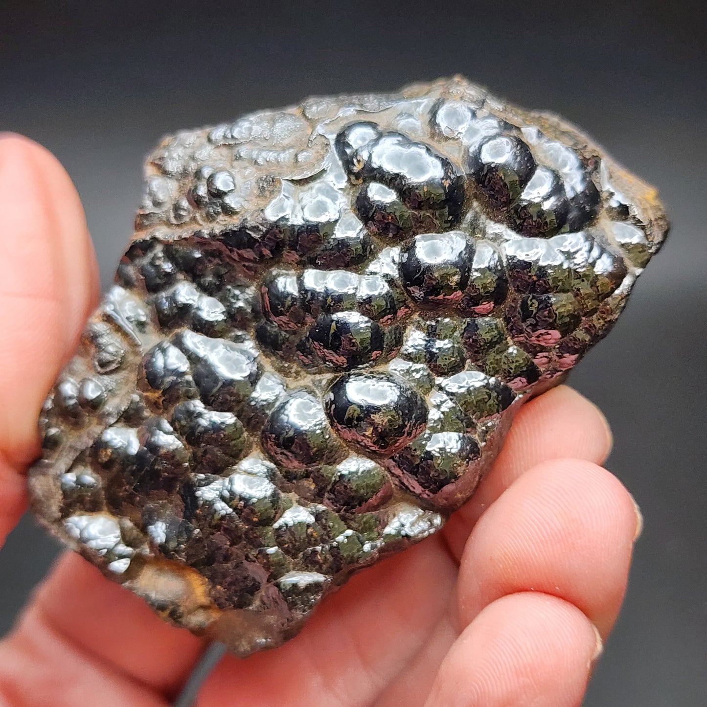 A hand holds a glossy, bumpy black rock with an irregular surface texture. This high-luster AUCTION- Hematite var. Botryoidal from The Crystalary, sourced from the Luis Lopez Manganese District in Socorro Co., New Mexico, USA, boasts a metallic appearance with shiny, rounded bumps that catch the light. The background is out of focus, drawing attention to the details of the rock.