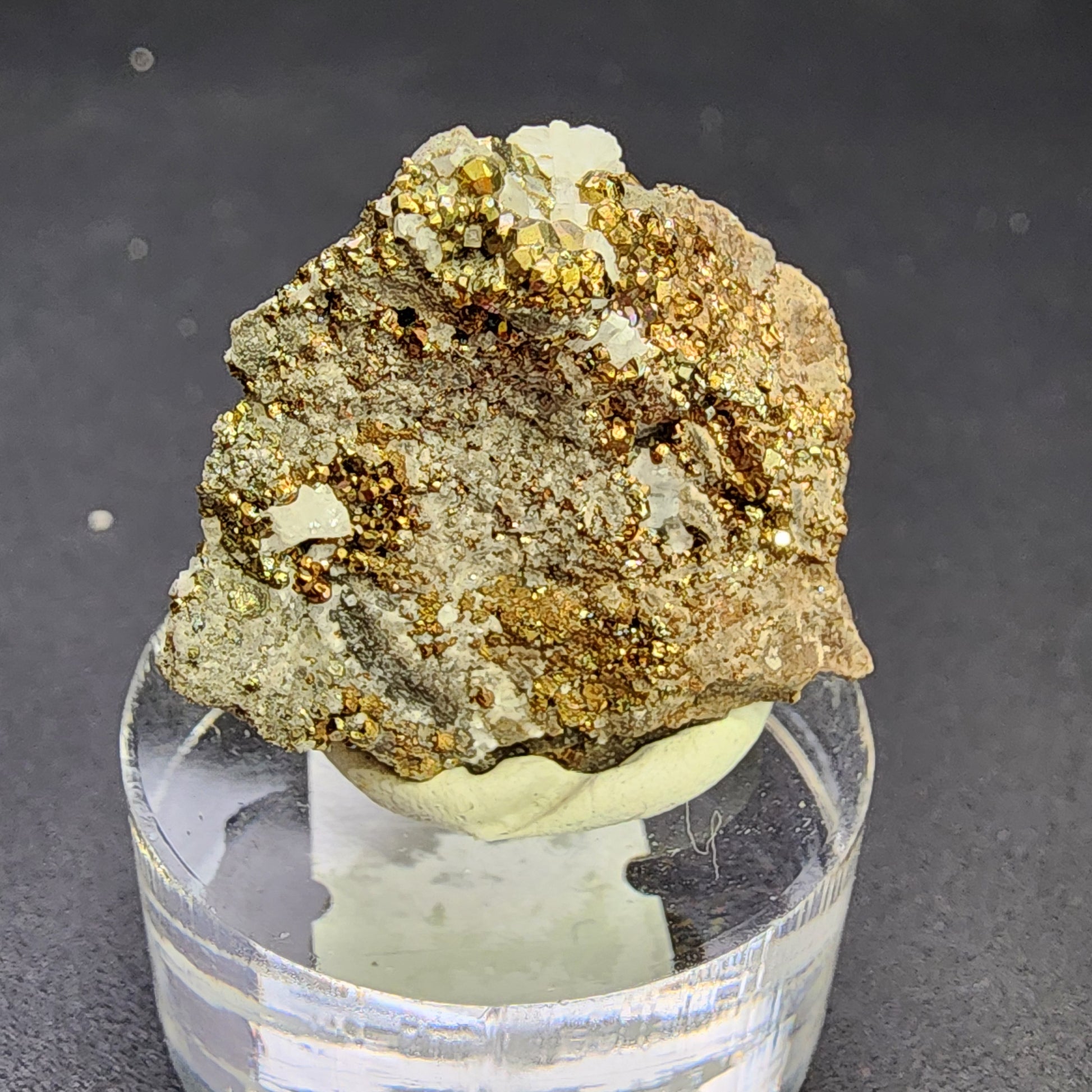 Presenting the AUCTION Pyrite/Dolomite from The Crystalary, this specimen showcases small, shiny, gold-colored diploid pyrite crystals gracefully mounted on a clear acrylic stand. These striking crystals are embedded in a rough, grayish-brown rocky matrix, likely dolomite from the renowned C.E. Duff & Son Quarry in Huntsville, Logan Co., Ohio. A dark background accentuates the piece's metallic luster beautifully.