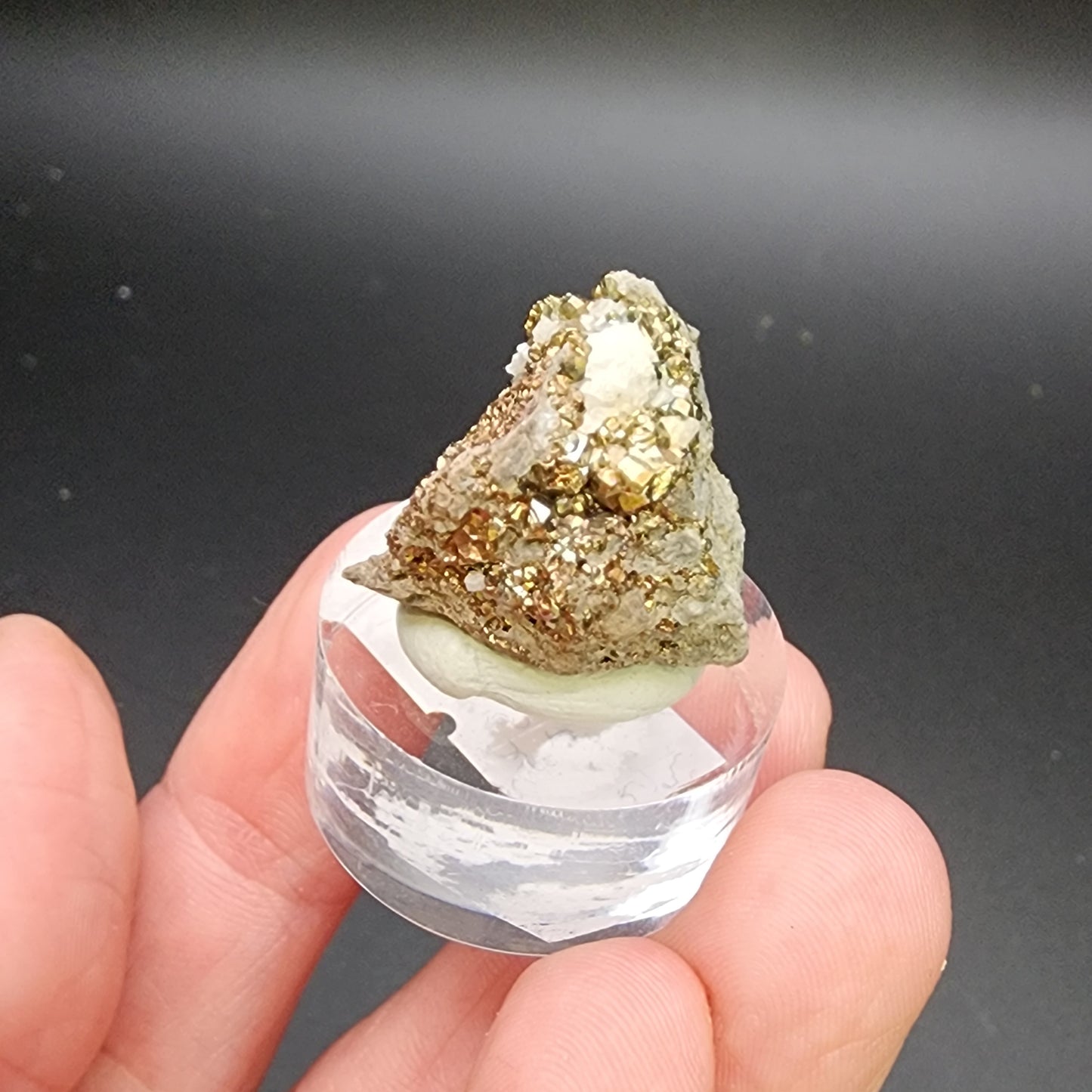 A hand holds a clear, round stand displaying a small rock topped with diploid pyrite flecks, shimmering gold against a dull gray matrix. The dark, indistinct background accentuates the detail of The Crystalary's AUCTION Pyrite/Dolomite from C.E. Duff & Son Quarry, Huntsville, Logan Co., Ohio, USA.