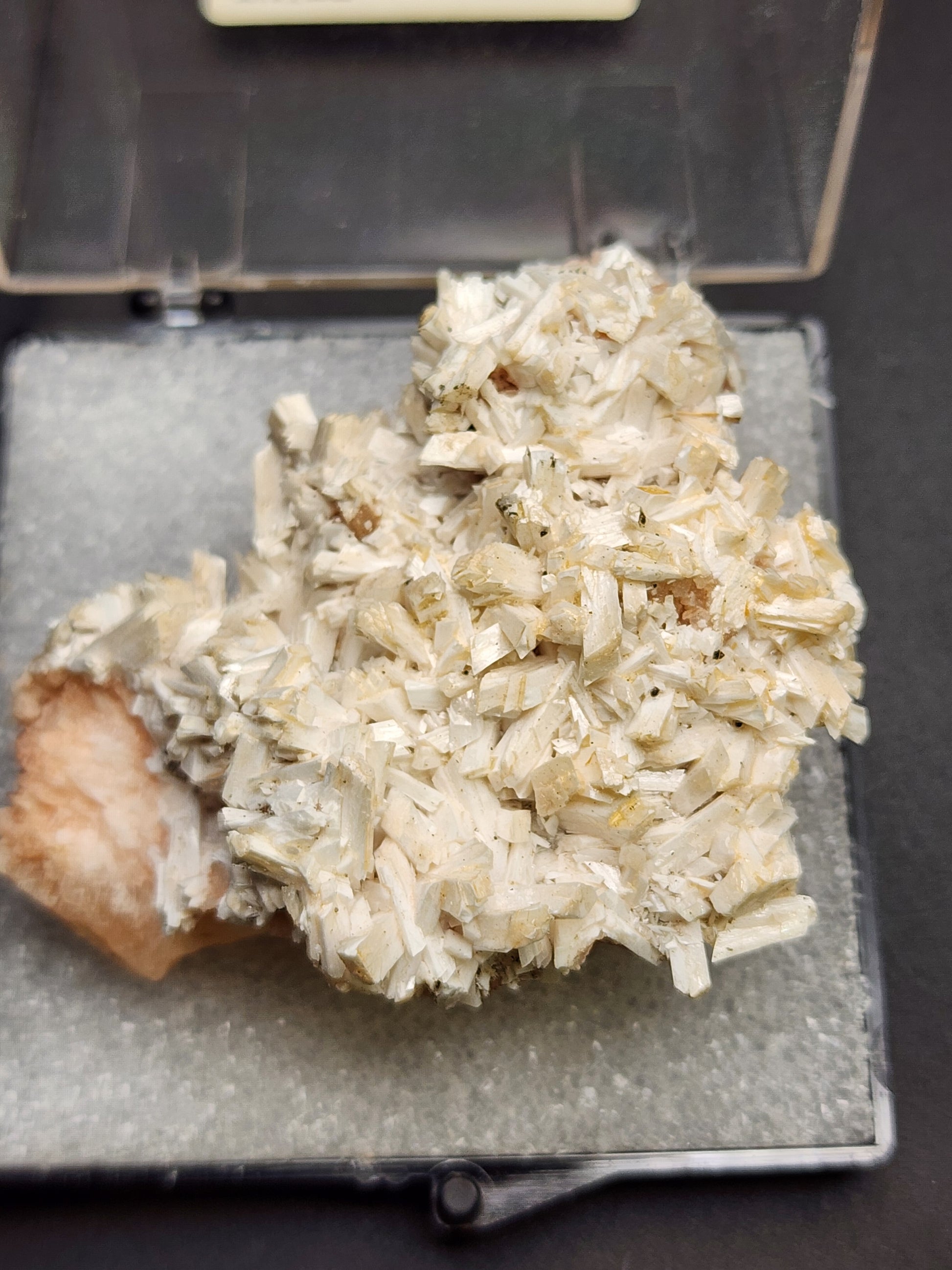 A crystalline mineral specimen featuring numerous small, elongated beige and white Laumontite crystals clustered together, displayed on a foam-padded background. Likely sourced from Poona, India and carefully housed in a square plastic container with a hinged lid, this collectible is listed under the name - AUCTION- Stilbite and Laumontite- Poona, India by The Crystalary.