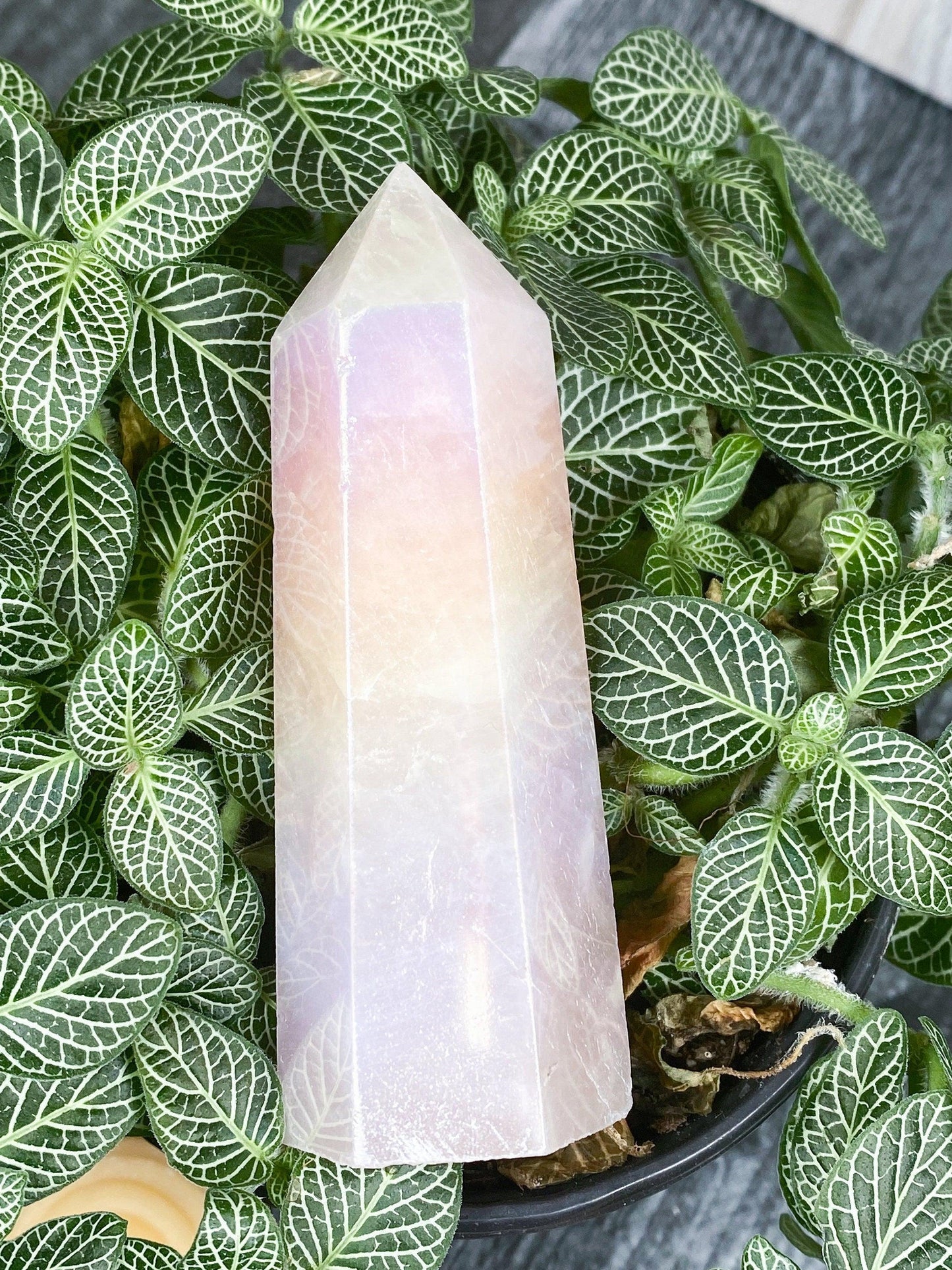 Aura Rose Quartz Tower - - The Crystalary