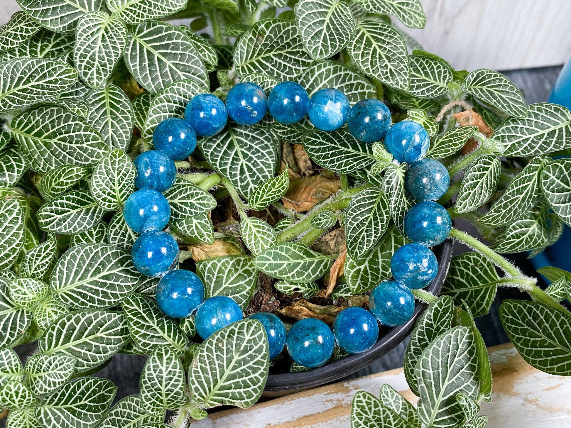 Blue Apatite Crystal Bracelet - - The Crystalary