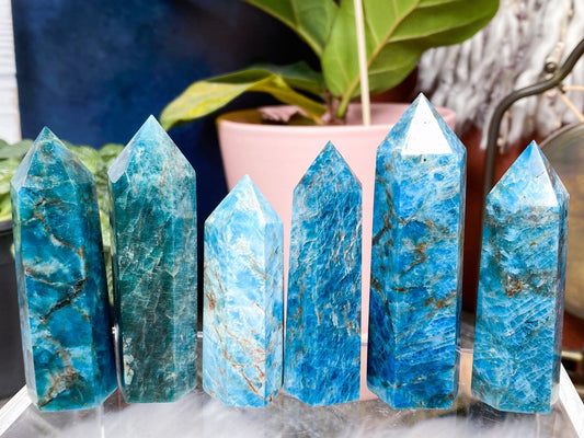 Blue Apatite Crystal Point - - The Crystalary