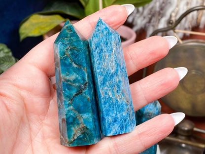 Blue Apatite Crystal Point - - The Crystalary