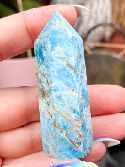 Blue Apatite Crystal Point - - The Crystalary