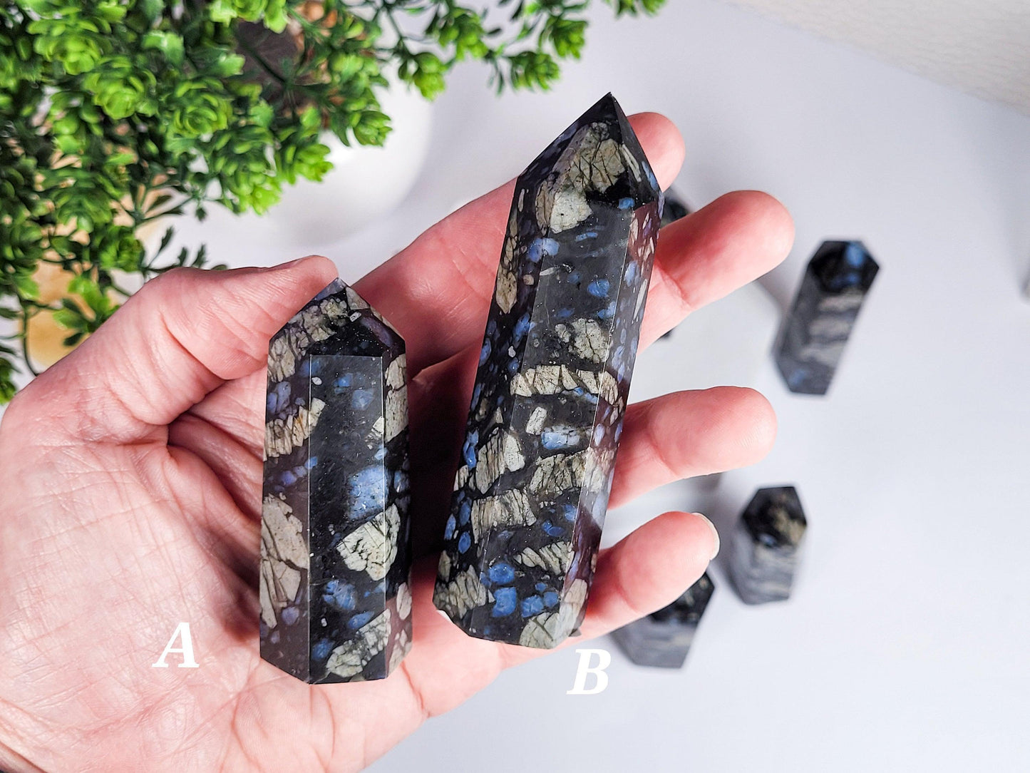 A hand holds two polished Blue Que Sera Llanite Points from The Crystalary, labeled "A" and "B", both showcasing intricate patterns in black, grey, and blue. Several similar crystal points are arranged on a white surface in the background, with a green plant partially visible.