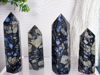 Four Blue Que Sera Llanite Points from The Crystalary, each intuitively chosen and exhibiting a blue and black speckled pattern, are displayed on a transparent surface. A green leafy plant and a white textured backdrop are visible in the background.