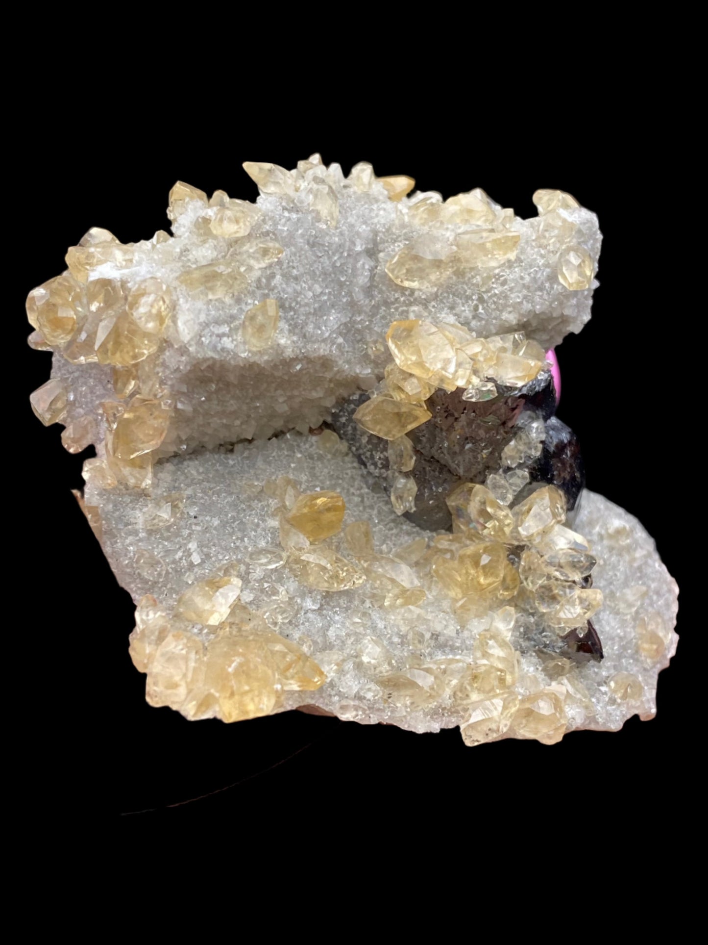 A cluster of yellow calcite crystals, including some small calcites, is embedded in a matrix of sparkly, white druzy quartz from The Crystalary's 'Calcite, Quartz and Sphalerite' collection originating from the Elmwood Mine in Carthage, Smith County, Tennessee. The varying sizes and shapes of the yellow calcite are complemented by this intricate display, all set against a striking black background.