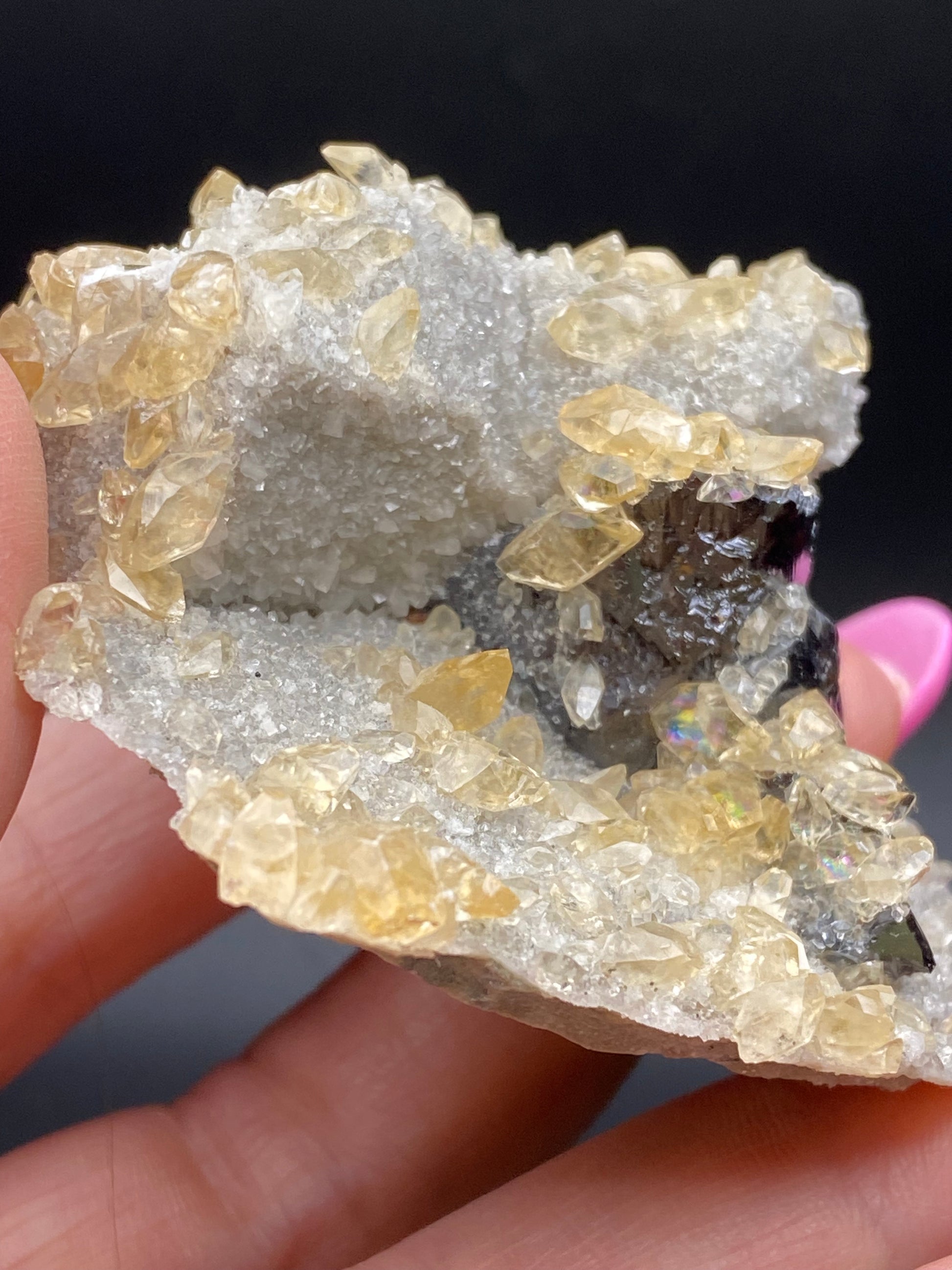 Close-up of a hand holding a stunning specimen from The Crystalary featuring calcite, quartz, and sphalerite from Elmwood Mine in Carthage, Smith County, Tennessee. The piece showcases clusters of small, light yellow crystals on white crystalline surfaces, complemented by a dark, iridescent section accented with druzy quartz. Small calcite formations are also visible within the sparkling display. The blurred and dark background accentuates the beauty of this remarkable geode.