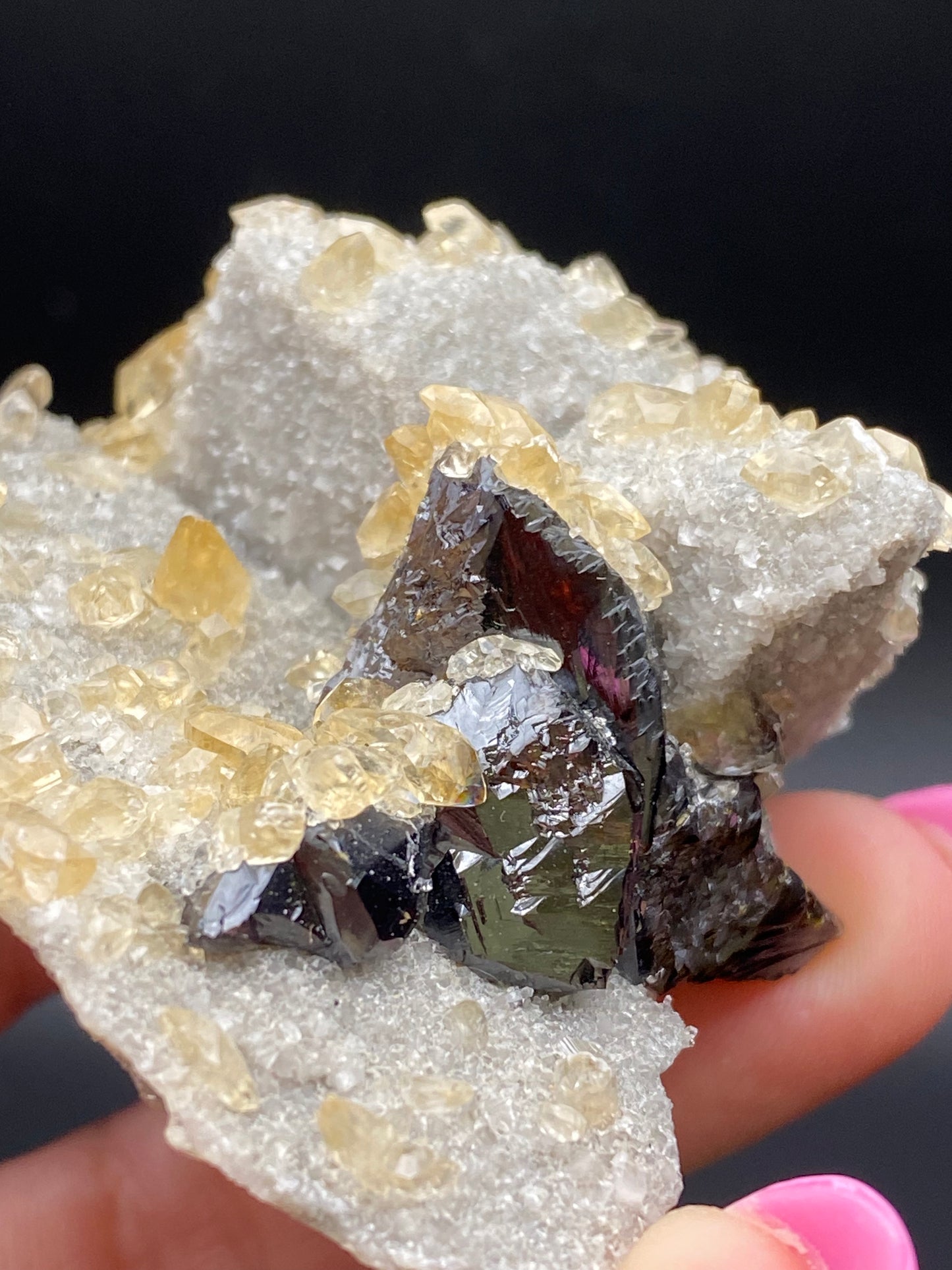 Close-up view of a person's hand holding a stunning mineral specimen from The Crystalary. The Calcite, Quartz, and Sphalerite—sourced from the Elmwood Mine in Carthage, Smith County, Tennessee—features large dark crystals embedded in a light matrix with numerous small, yellowish transparent crystals scattered across its surface. Among them, some small calcites can be seen. The dark background highlights the minerals perfectly.