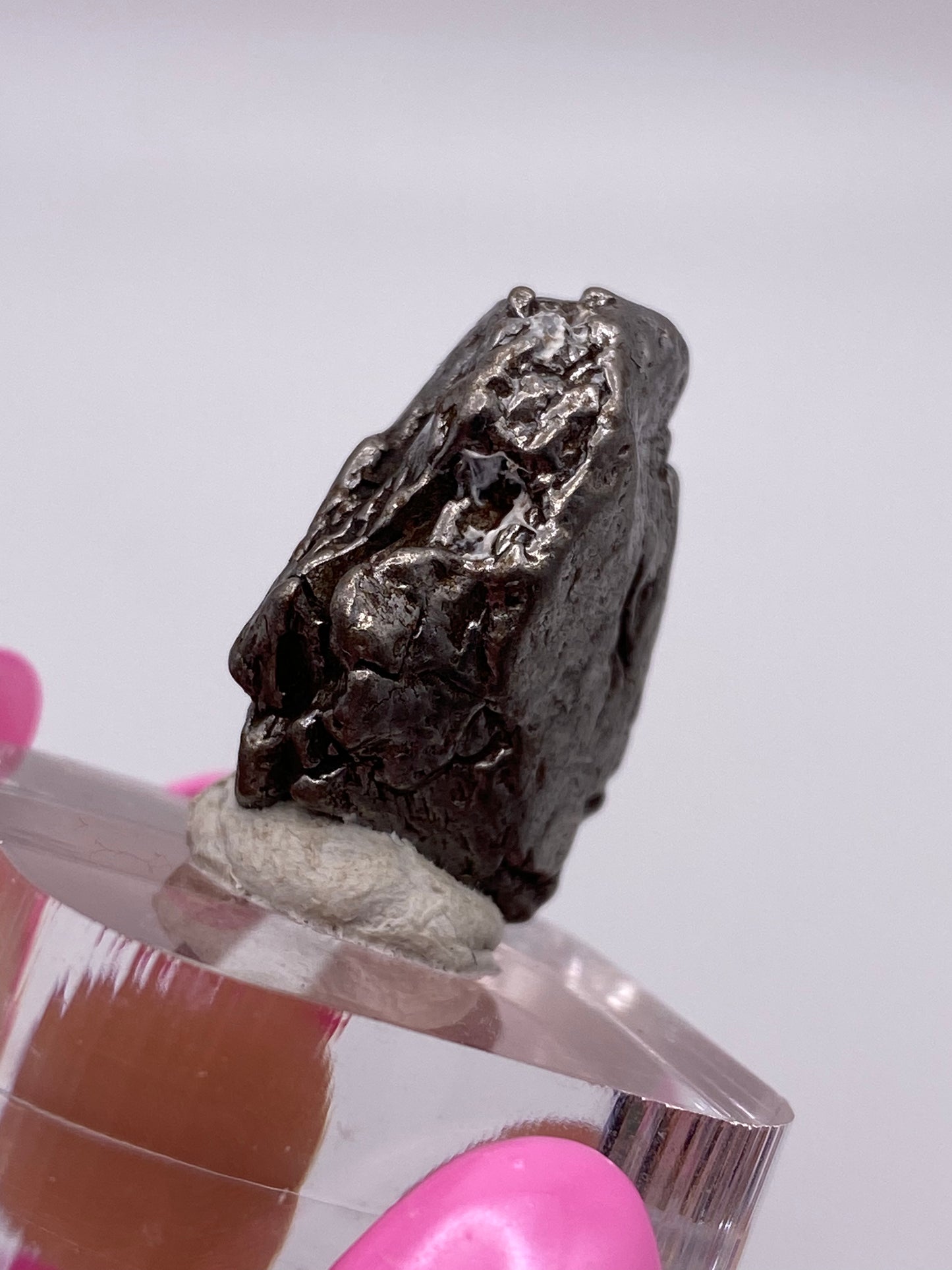 A close-up of a dark, rough-textured, irregularly shaped Campo del Cielo Meteorite- Gancedo, Doce de Octubre Department, Chaco Province, Argentina from The Crystalary is displayed on a clear stand held by a hand wearing bright pink gloves. The background is out of focus and neutral-colored, allowing the iron meteorite to be the focal point of the image.