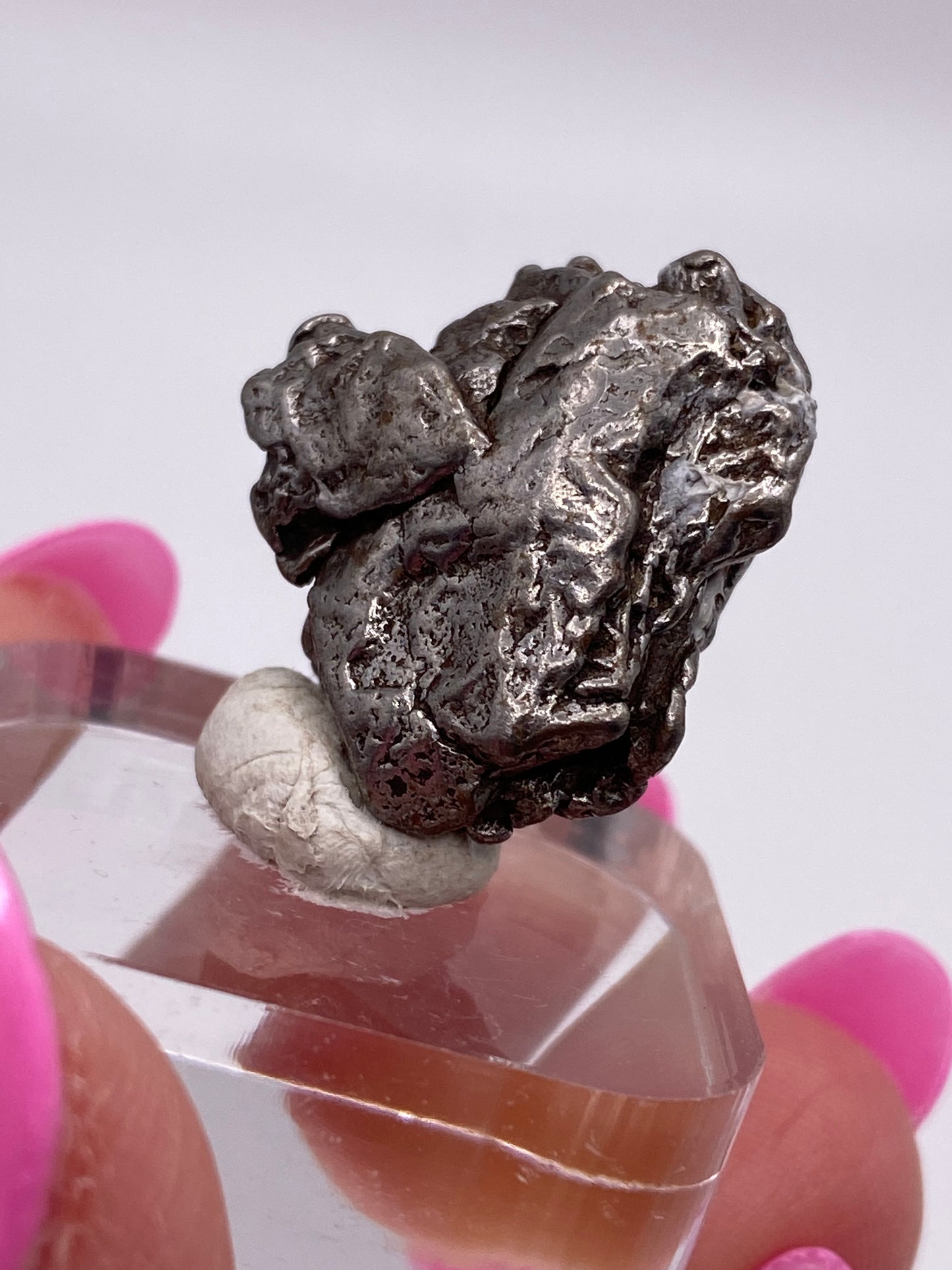 A hand with pink-painted nails holds a piece of clear acrylic supporting a small, rough metallic nugget. The metal, an iron meteorite from the famous Campo del Cielo Meteorite - Gancedo, Doce de Octubre Department, Chaco Province, Argentina by The Crystalary, is irregularly shaped and has a textured surface that appears to be partially embedded in a putty-like substance.