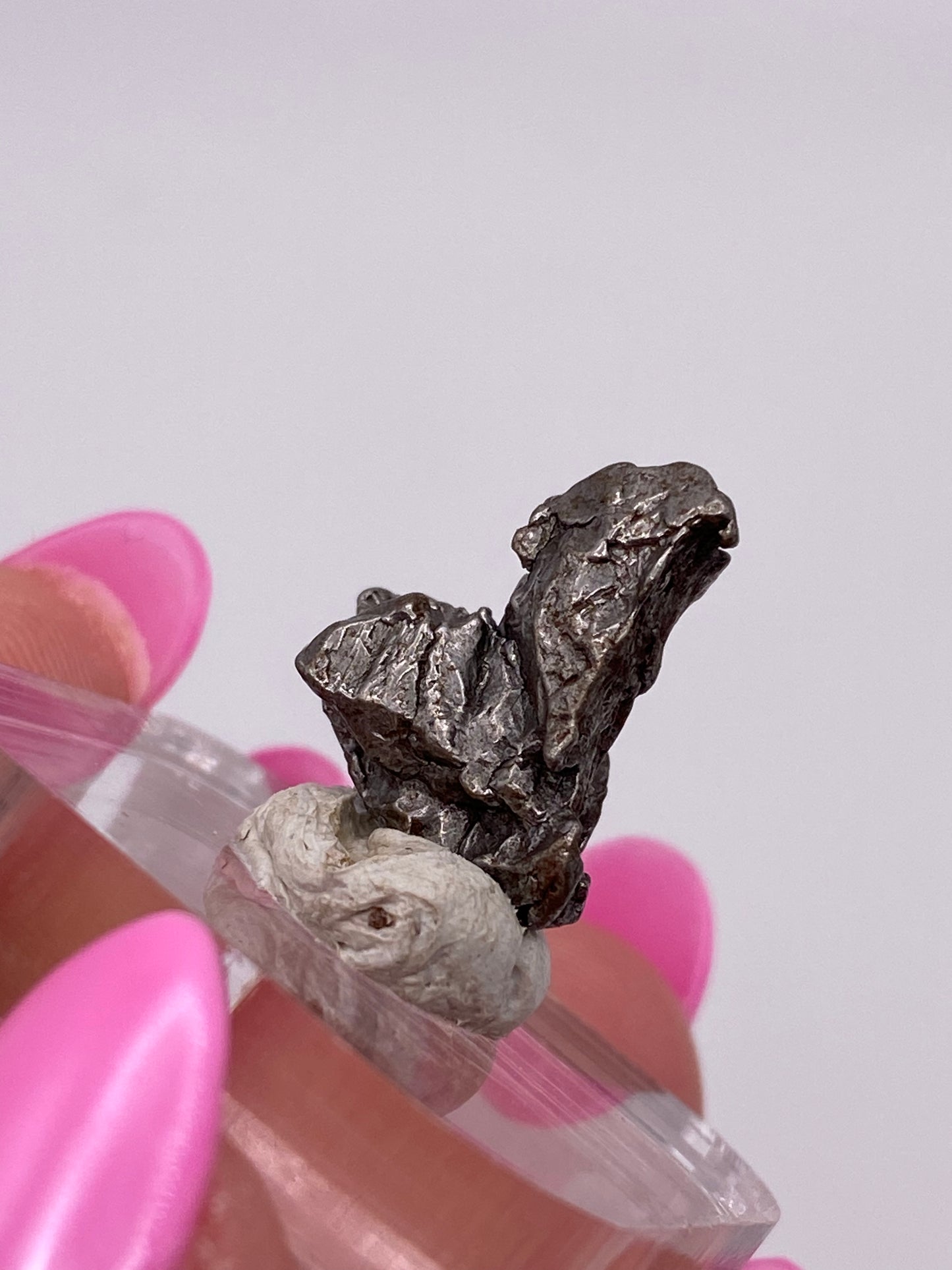 A close-up image of a hand with bright pink, long fingernails holding The Crystalary's Campo del Cielo Meteorite- Gancedo, Doce de Octubre Department, Chaco Province, Argentina, mounted on a white base atop a transparent platform. The background is plain white.