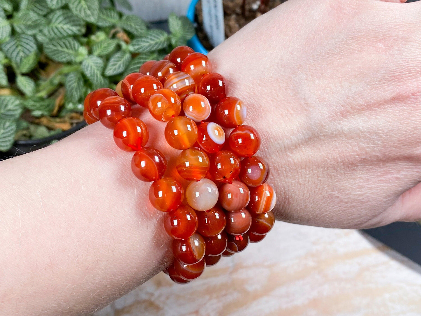 Wearing the Carnelian Crystal Bracelet by The Crystalary, a wrist is elegantly adorned with multiple strands of glossy orange-red agate crystal beads. These bracelets display an exquisite array of red and orange hues in perfect harmony. In the background, green leaves of a plant rest against a flat, light-colored surface, enhancing the beauty of this exquisite jewelry setup.