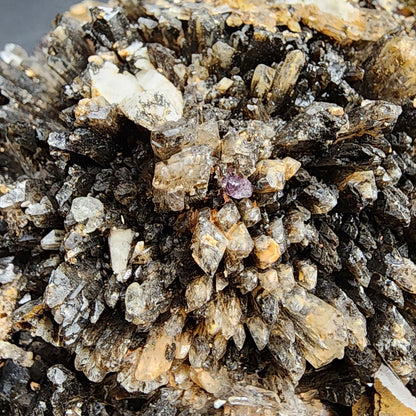 A close-up image of a cluster of dark, jagged Creedite and Fluorite minerals from the Navidad Mine in Inde Municipality, Durango, Mexico. The cluster, offered by The Crystalary, has a rough texture with various small, angular crystals reflecting light and showing a hint of translucence. A highly fluorescent purple crystal stands out at the center.