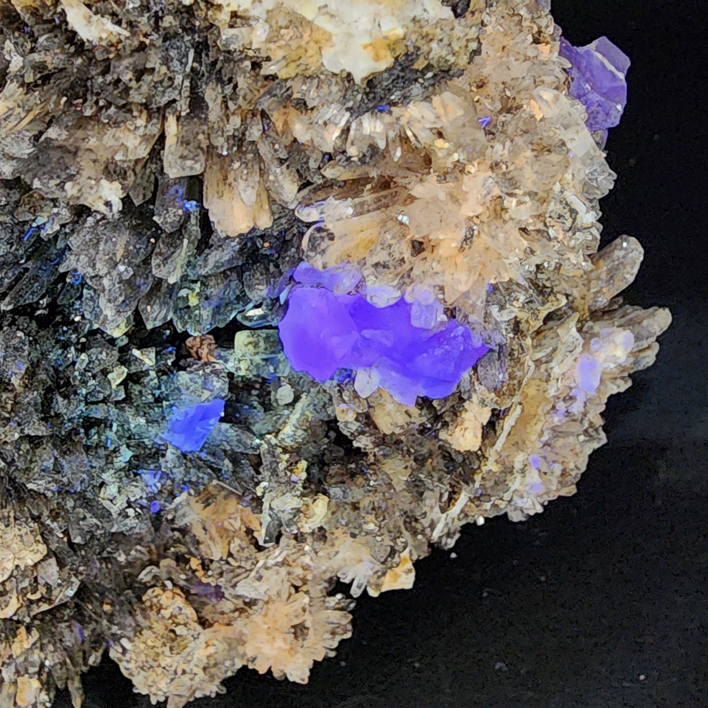 Against a black background, a cluster of mineral crystals is displayed, primarily beige and brown with intricate formations. Some of the crystals emit a vibrant blue-purple glow, exhibiting high fluorescence. This creates a striking contrast with spiky orange creedite and the more neutral tones. The minerals are identified as Creedite and Fluorite from the Navidad Mine in Inde Municipality, Durango, Mexico, offered under The Crystalary brand.