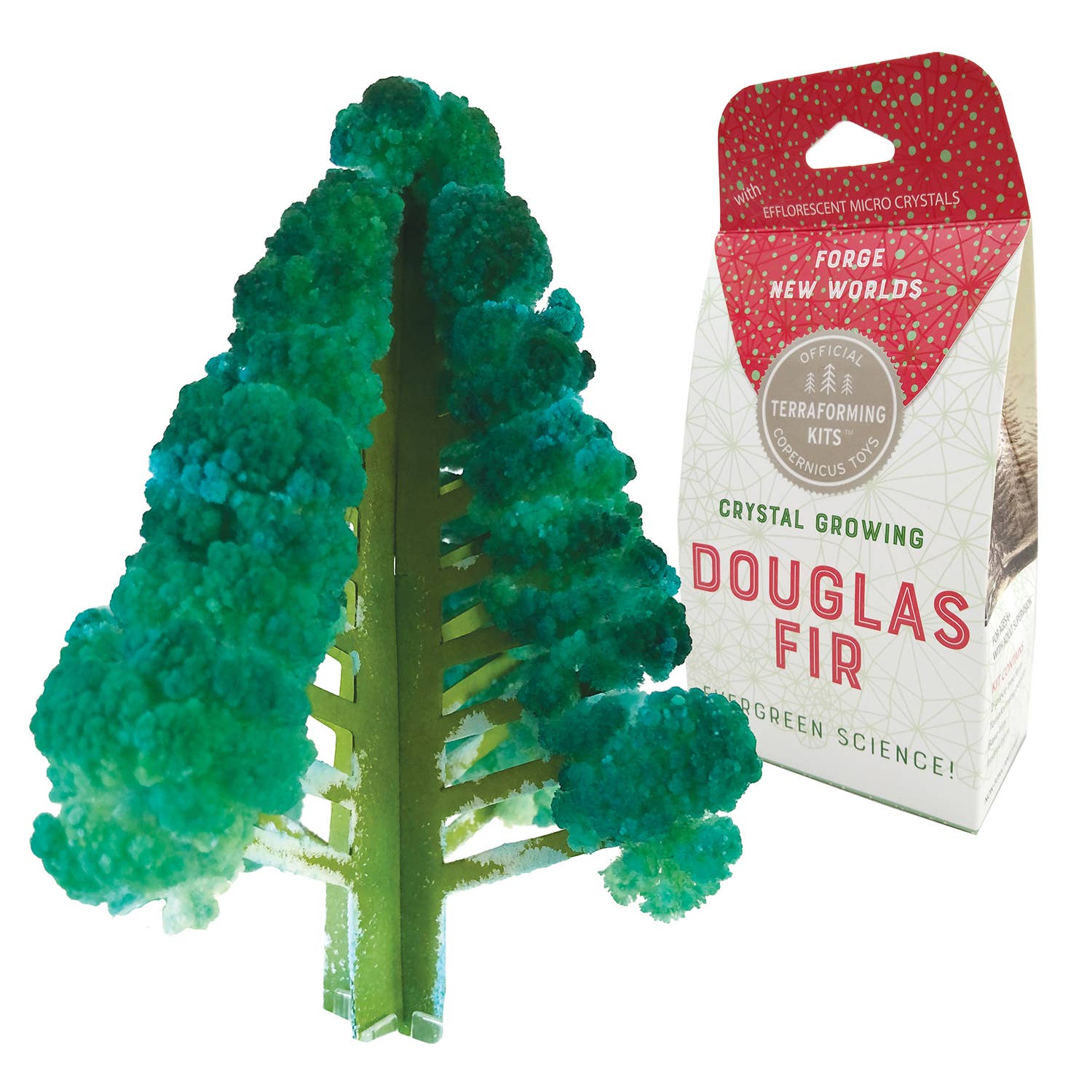 A crystal growing kit for a Douglas Fir tree by Copernicus Toys. The image showcases a green, crystalline representation of the tree beside the product packaging, which is predominantly red and white with green accents, featuring text about the Crystal Growing Douglas Fir | Craft Kit Science Kit. This crystal kit makes an excellent science gift for STEAM enthusiasts.