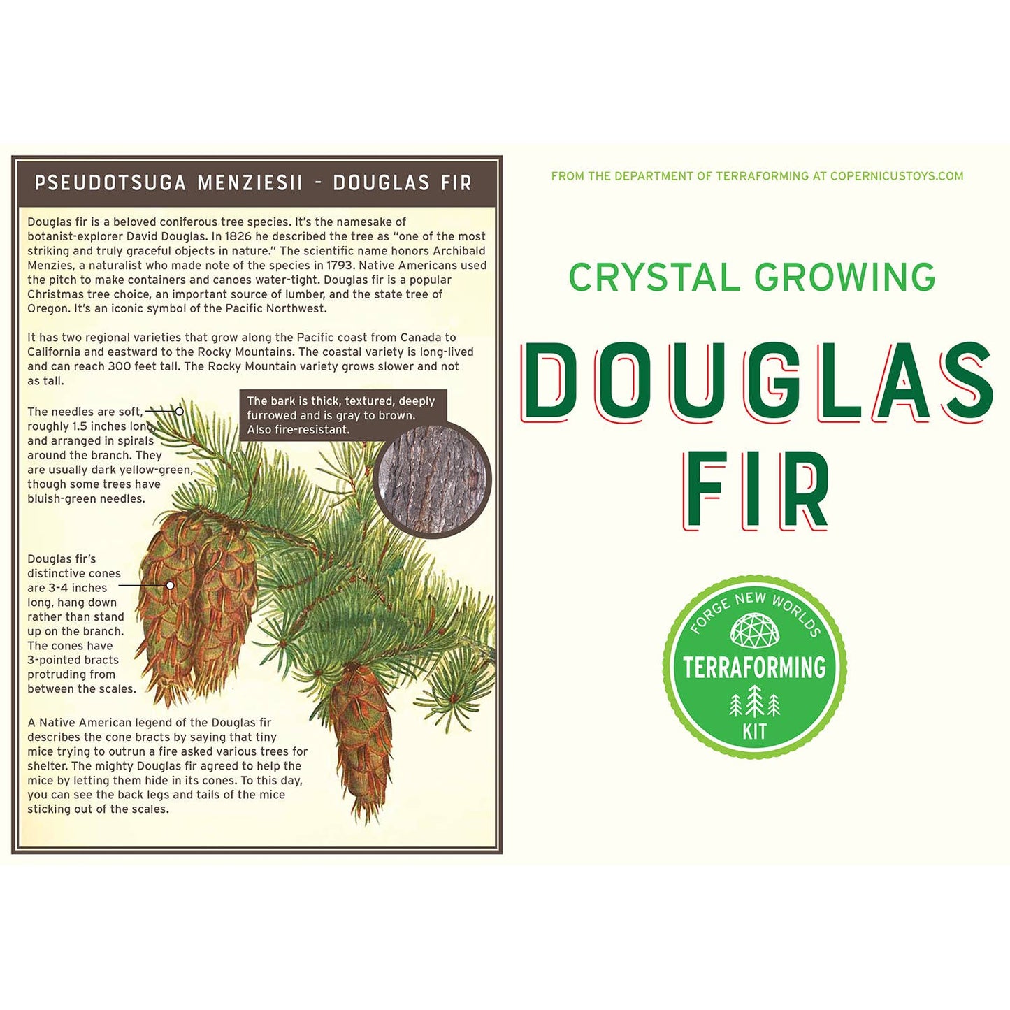 The package of the Crystal Growing Douglas Fir Science Kit from Copernicus Toys features a beautiful botanical illustration of a Douglas Fir. This perfect science gift includes descriptions of its needles and cones, along with the text "Crystal Growing Douglas Fir.