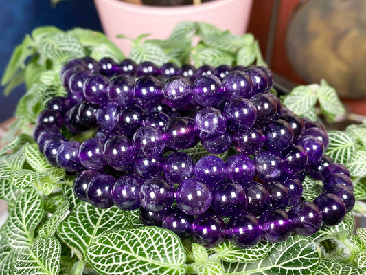 A close-up of several Dark Amethyst Crystal Bracelets by The Crystalary coiled together on top of vibrant green foliage. The deep purple beads, renowned for their anxiety and insomnia relief properties, shine under the light, contrasting with the bright green leaves. A pink pot is visible in the background, creating a strikingly colorful image.