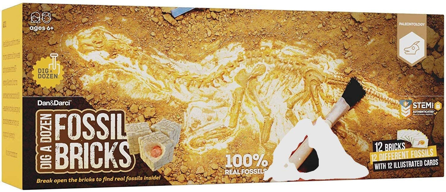 A yellow and brown box titled "Dig a Dozen Fossil Bricks" from Dan&Darci features an image of fossil excavation tools alongside partially unearthed real fossils. It advertises 12 dig bricks, each containing unique fossils, and includes 12 illustrated cards. Recommended for ages 6+.