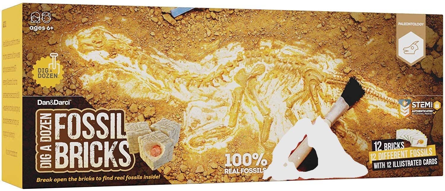 A yellow and brown box titled "Dig a Dozen Fossil Bricks" from Dan&Darci features an image of fossil excavation tools alongside partially unearthed real fossils. It advertises 12 dig bricks, each containing unique fossils, and includes 12 illustrated cards. Recommended for ages 6+.