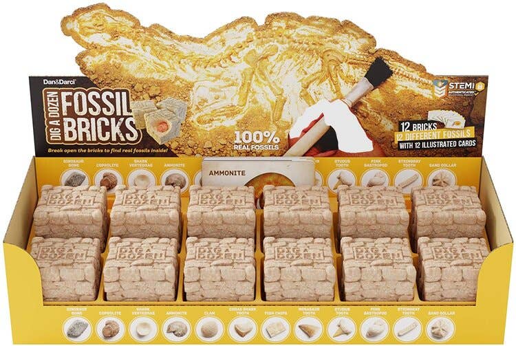 Dan&Darci's "Dig a Dozen Fossil Bricks" display box contains 12 individual bricks, each concealing authentic and unique fossils. The kit includes excavation tools and illustrated cards, highlighting 9 types of fossils and offering a STEM feature for an engaging hands-on learning experience.