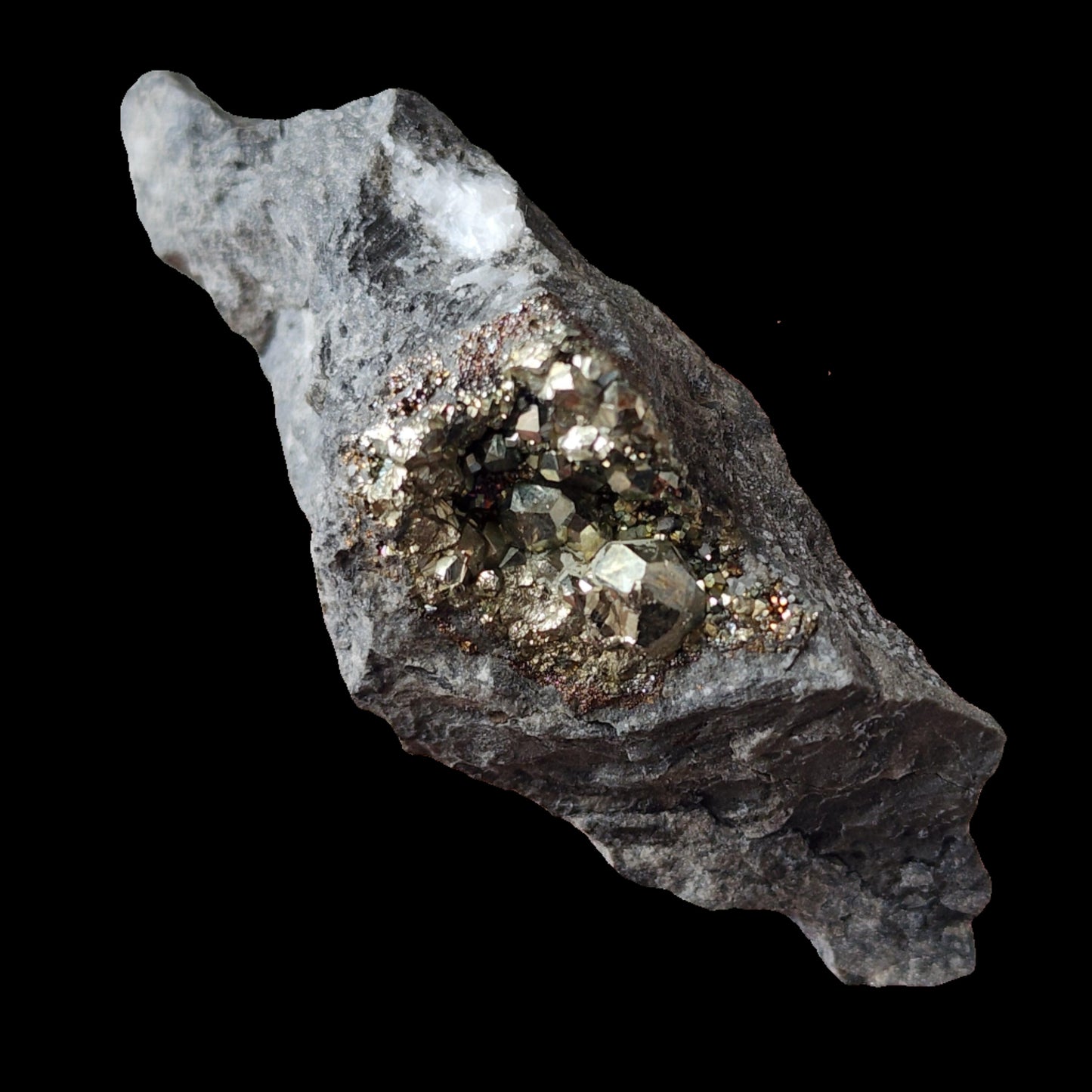 Product Description: The Crystalary presents the Duff Quarry Pyrite in Silurian dolostone—a rugged gray rock from Duff Quarry featuring a central cluster of exposed, shiny, metallic pyrite crystals. These crystals boast a reflective, brassy-yellow hue that beautifully contrasts with the darker, rugged exterior of the surrounding stone.