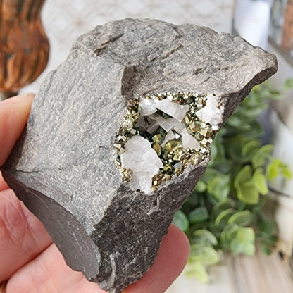 A hand holds the Duff Quarry Pyrite in Silurian dolostone by The Crystalary, showcasing a gray rock with a partially exposed section revealing shiny, golden pyrite and clear quartz crystals. The background is blurred with some green foliage visible.