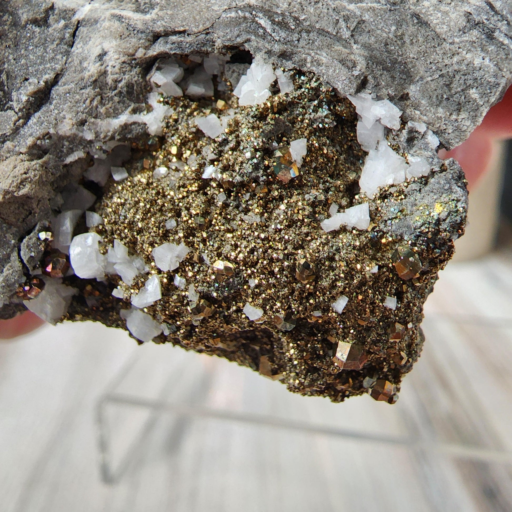 A close-up image of Duff Quarry Pyrite in Silurian dolostone by The Crystalary, showcasing sparkling, gold-colored pyrite crystals and white quartz. The cubic pyrite crystals are clustered together, creating a contrasting texture with the rough, gray Silurian dolostone and the smooth quartz formations.