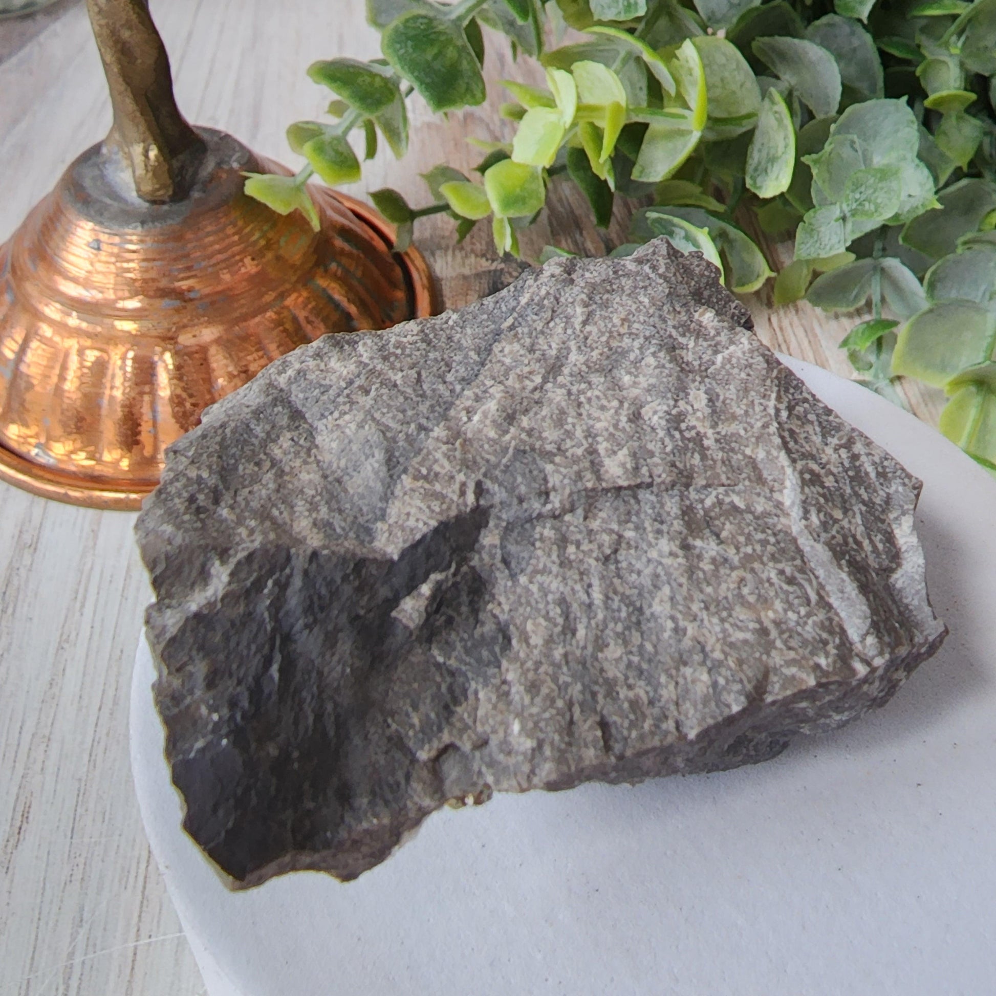 A rough, gray Duff Quarry Pyrite in Silurian dolostone from The Crystalary sits on a white circular base next to a bronze-colored, bell-shaped object with a handle. Green foliage is in the background on the right, and all items are placed on a light wood surface.