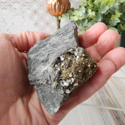 A hand holds The Crystalary's Duff Quarry Pyrite in Silurian dolostone, showcasing its rough, gray structure embedded with sparkling golden pyrite and white quartz crystals. The background features a potted plant and decorative elements, highlighting the intricate palm lines and detailed texture of the Silurian dolostone.