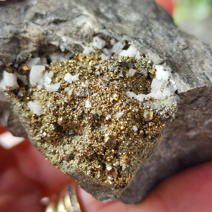 A close-up of a hand holding Duff Quarry Pyrite in Silurian Dolostone from The Crystalary, featuring a formation of glittering gold-colored pyrite crystals and white mineral deposits. The crystalline structure is embedded within the rough gray dolostone, showcasing a sparkly, metallic appearance.