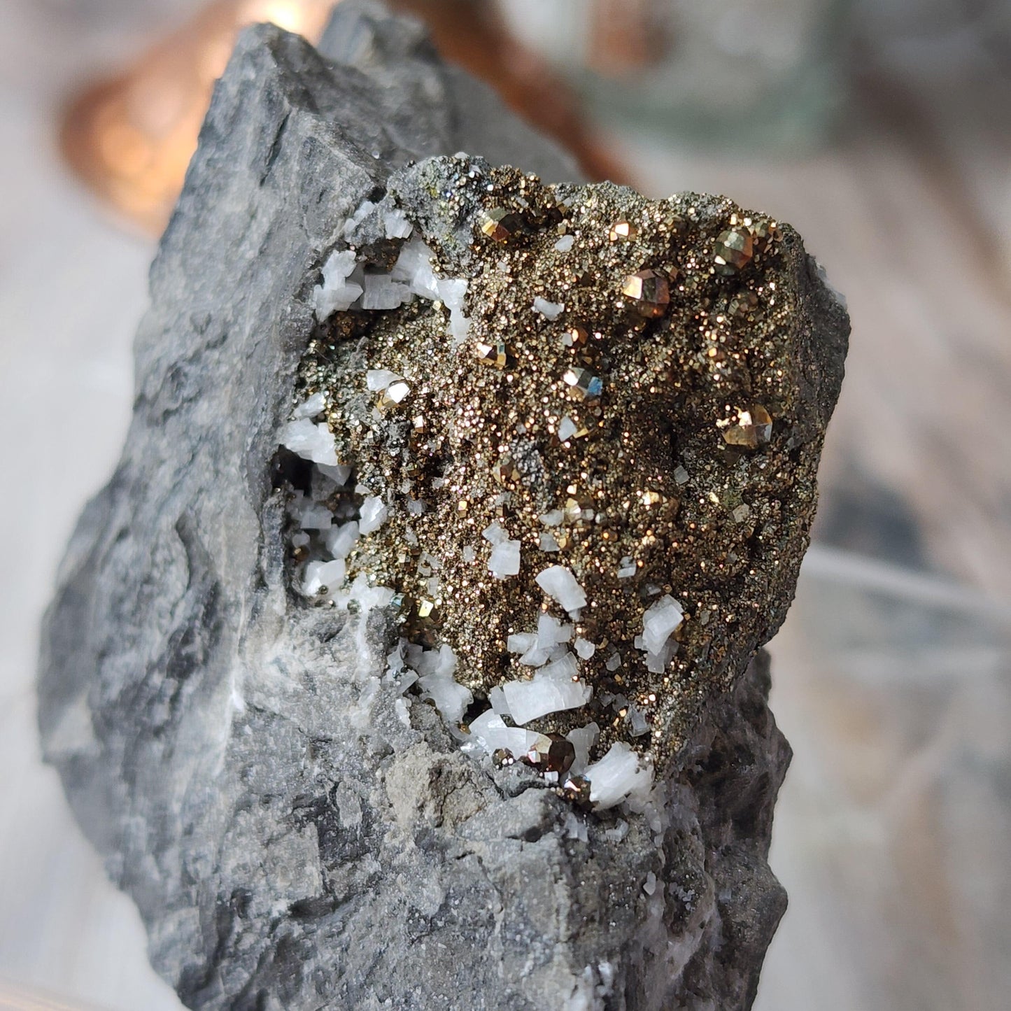 Introducing the Duff Quarry Pyrite in Silurian dolostone from The Crystalary: A close-up photograph captures a rock featuring metallic, gold-colored pyrite crystals embedded within it. These pyrite crystals, including some rare diploid varieties, are clustered together, glistening and reflecting light beautifully. The surrounding Silurian dolostone presents a gray and rough texture with occasional white mineral patches visible.