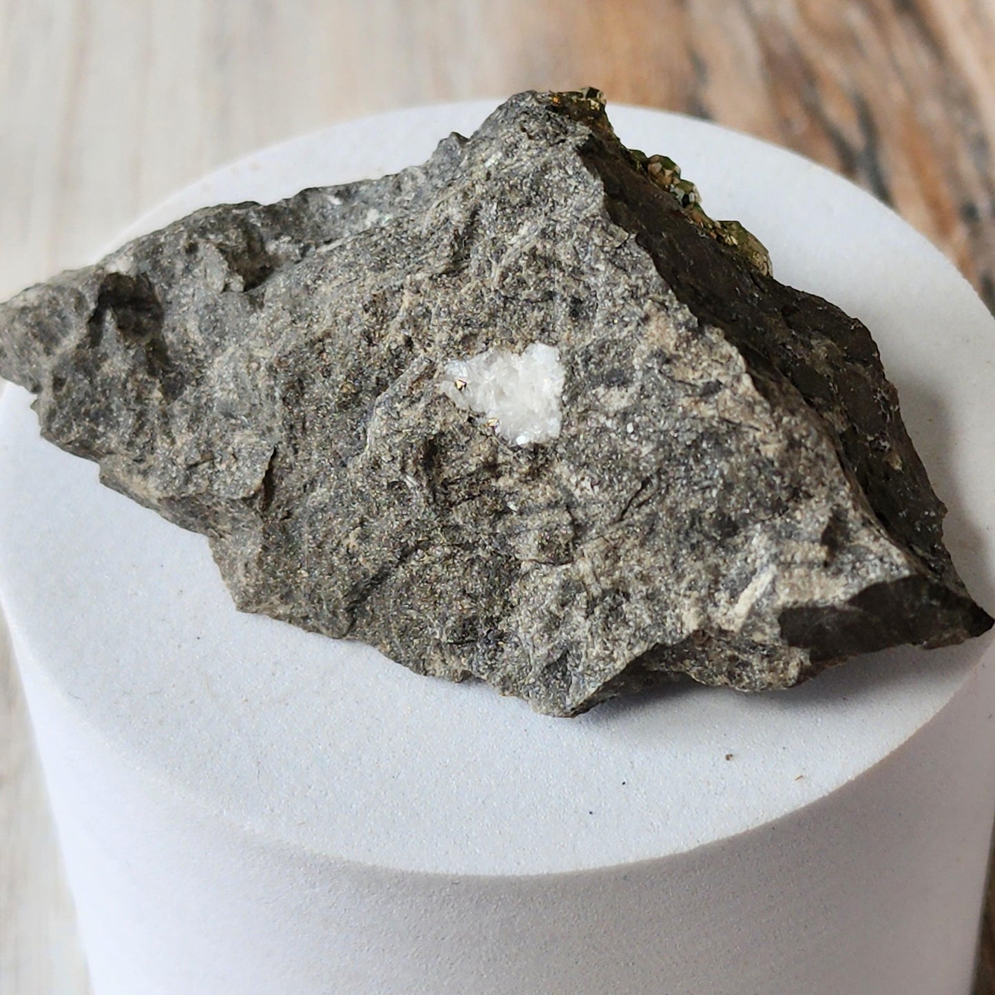 A textured, gray Duff Quarry Pyrite in Silurian dolostone with a small white patch is displayed on a white cylindrical pedestal. This intricate rock from The Crystalary features shiny spots that resemble pyrite against its rough surface. The background appears to be wooden.