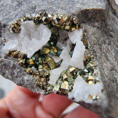 Here is a close-up image of The Crystalary's Duff Quarry Pyrite in Silurian dolostone, featuring a cluster of white quartz crystals and shiny, metallic pyrite crystals embedded within it. The pyrite crystals exhibit a stunning range of iridescent colors, including gold, green, and purple.