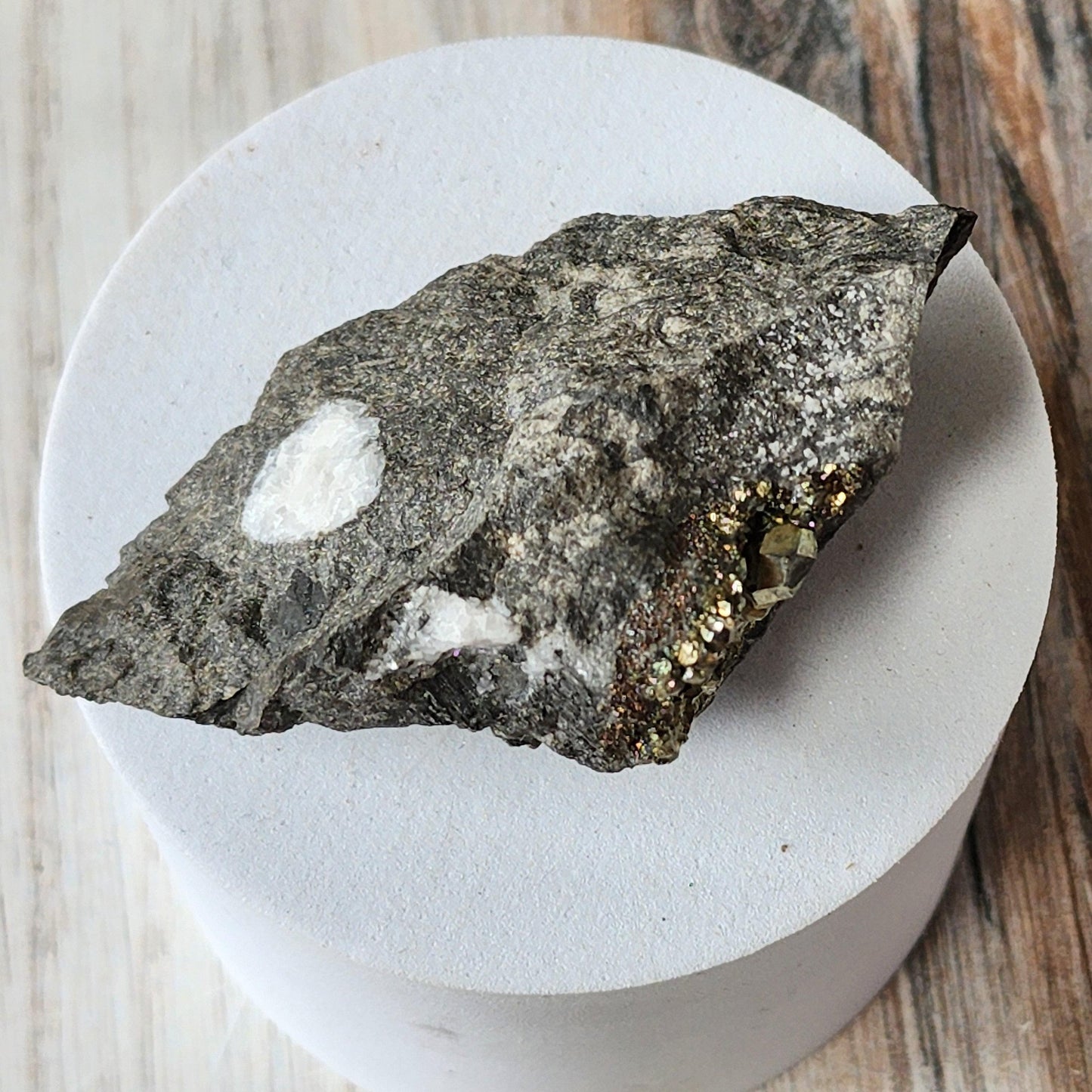 A rough, dark gray mineral sample with specks of metallic gold, known as Duff Quarry Pyrite in Silurian dolostone from The Crystalary, rests on a cylindrical white display stand. The surface beneath the stand appears to be wooden, evoking an image right from the heart of Duff Quarry.