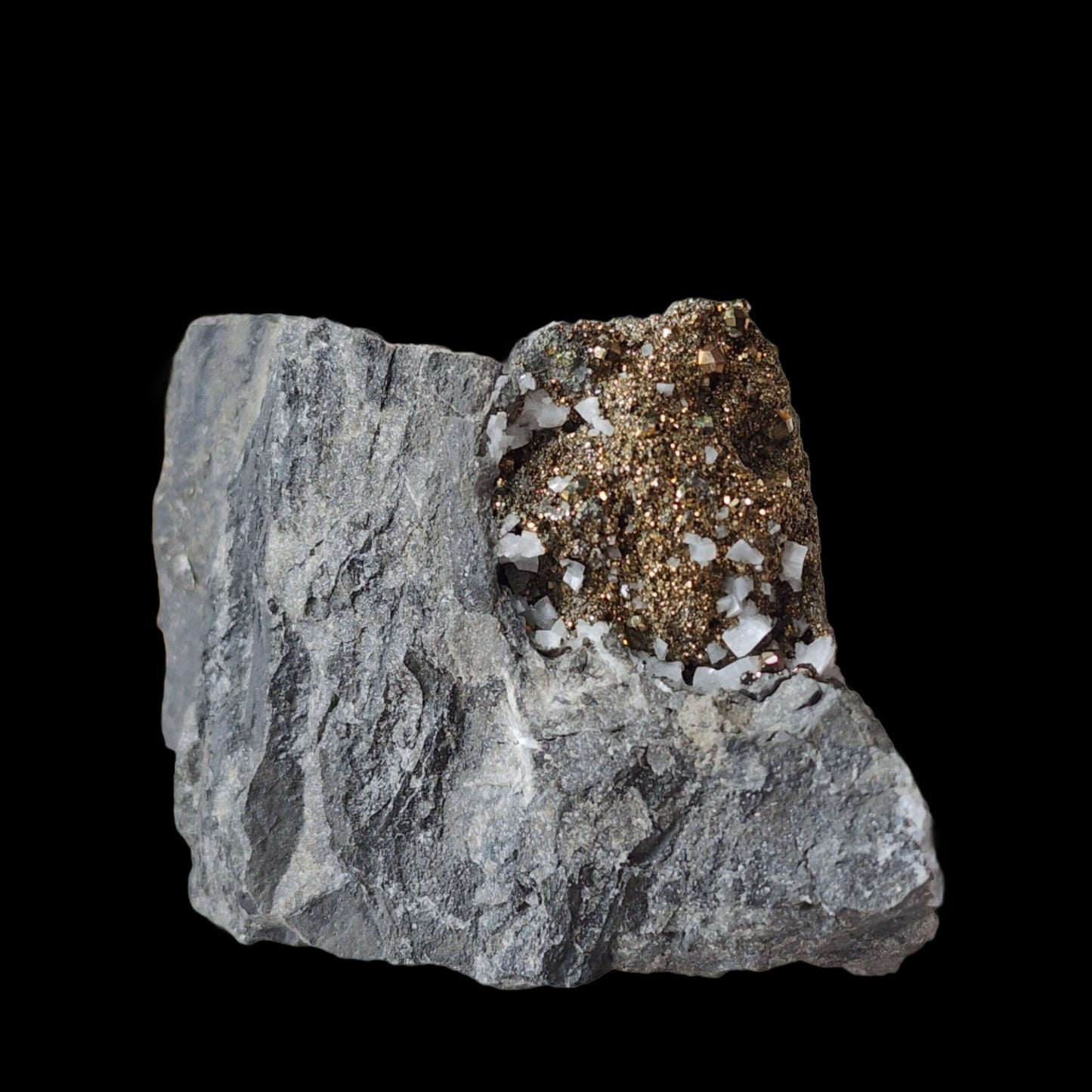 The Crystalary's Duff Quarry Pyrite in Silurian dolostone showcases a beautiful amalgamation of dark gray dolostone and a cluster of Pyrite crystals. The sparking, metallic appearance of the Pyrite features an array of white and brownish-gold crystals, providing a stunning contrast against the subdued gray stone.