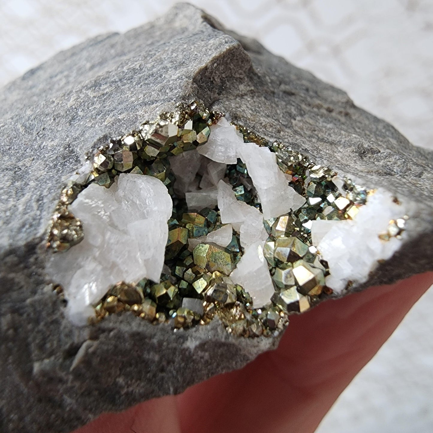 A close-up reveals a hand holding Duff Quarry Pyrite in Silurian dolostone from The Crystalary. Within an exposed cavity, clusters of white quartz crystals and metallic, cubic pyrite crystals create a striking contrast between the glossy, gold-hued metallic surfaces and the translucent white quartz.