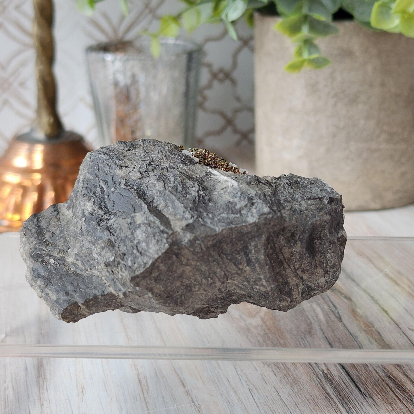 A close-up shot of The Crystalary's Duff Quarry Pyrite in Silurian dolostone, showcasing its gray, rough-textured surface, placed on a transparent platform. In the background, a decorative lamp, a glass container, and a concrete pot with green leaves are slightly blurred, creating a cozy indoor setting.