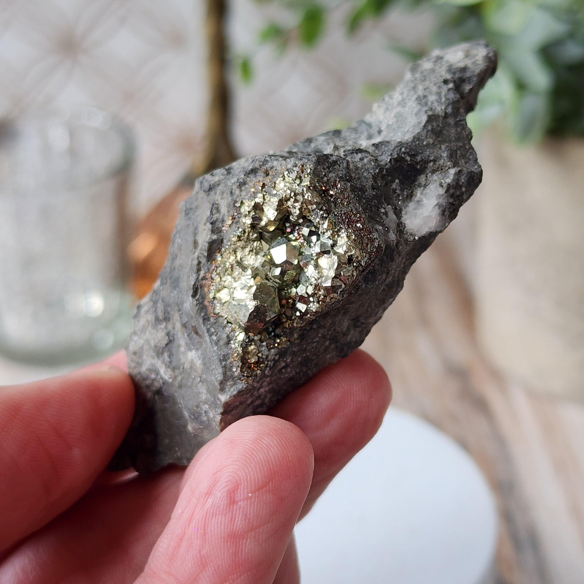 A hand holds a Duff Quarry Pyrite in Silurian dolostone, featuring a cluster of metallic gold-colored crystals, likely pyrite, embedded in dark gray rock. Sourced from Duff Quarry by The Crystalary, the specimen showcases its striking formations against a blurred indoor setting adorned with hints of decor and plants.