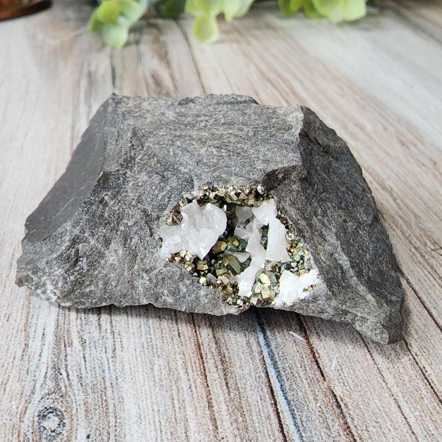 The Crystalary's Duff Quarry Pyrite in Silurian Dolostone, featuring a grey exterior with an exposed interior showcasing white crystals and small, shiny Pyrite formations, rests on a wooden surface, with green foliage in the blurred background adding a natural touch.