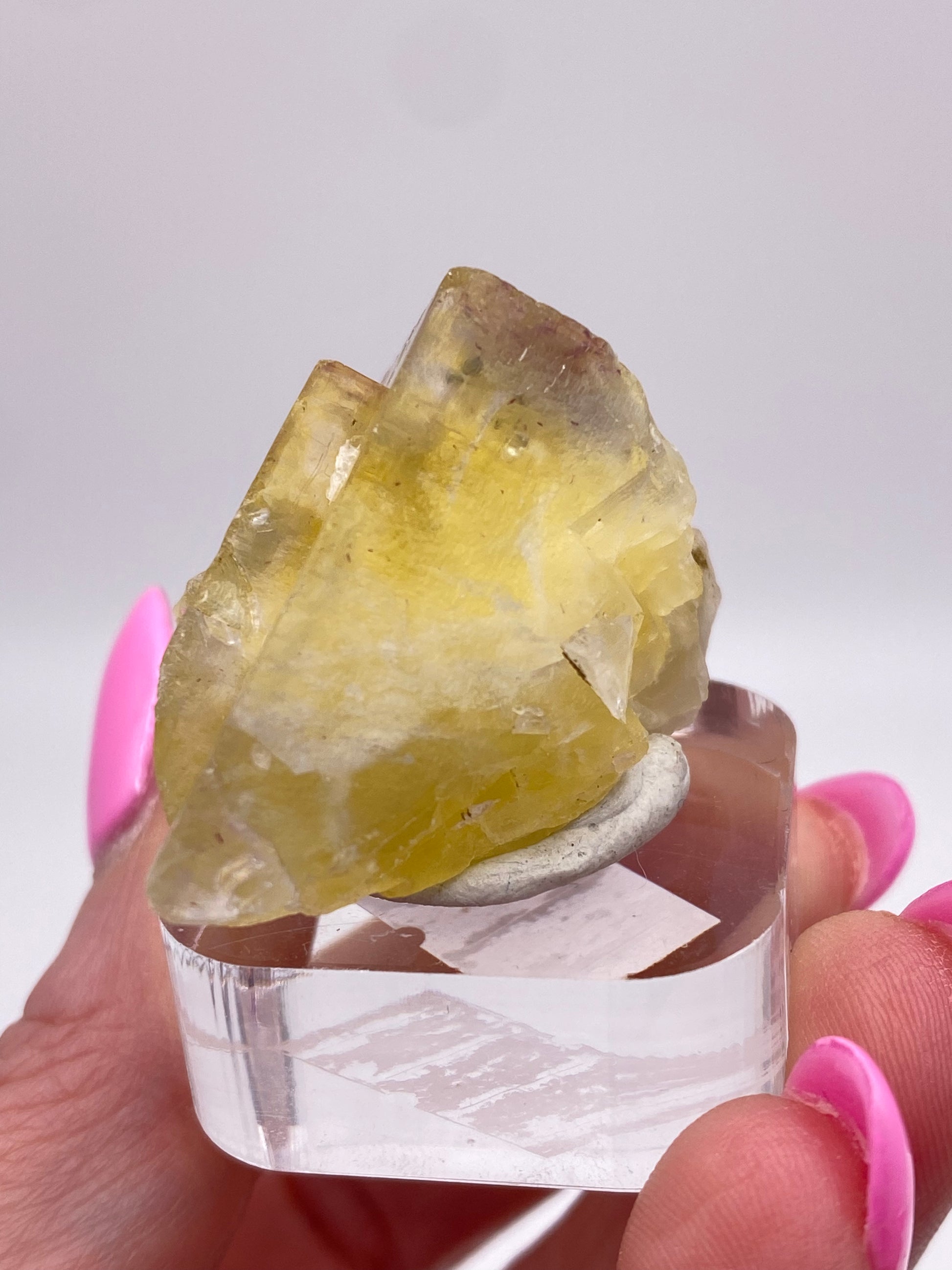 A translucent and vibrant yellow fluorite crystal, featuring jagged edges, is displayed on a clear acrylic stand and held up by a person with pink nails. This stunning specimen from The Crystalary was sourced from the Annabel Lee Mine in Harris Creek, Hardin County, Illinois, USA. The blurred white background emphasizes the striking beauty of the crystal.