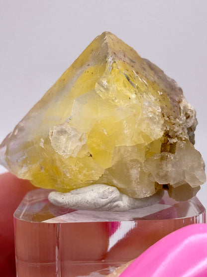 A close-up of a yellow Fluorite from Annabel Lee Mine in Harris Creek, Hardin County, Illinois, with an irregular shape, resting on a small gray base on a transparent stand. Two fingers delicately hold the stand in the foreground, one painted pink. The background is plain white. Product by The Crystalary.
