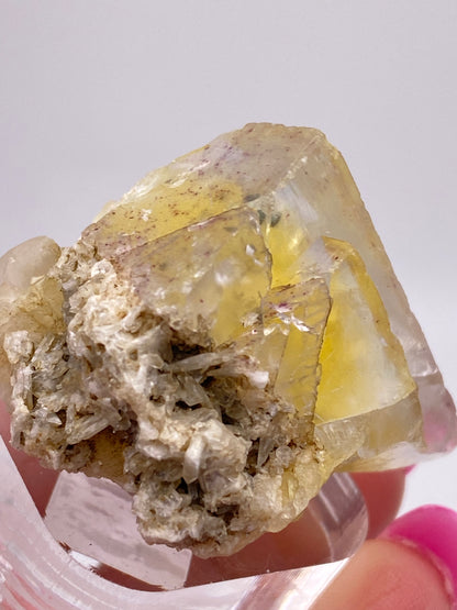 Close-up of a hand holding The Crystalary's yellow Fluorite, sourced from the Annabel Lee Mine in Harris Creek, Hardin County, Illinois. Beige, rough mineral formations adorn its surface, and the plain white background emphasizes the intricate details and texture of the crystal and minerals.