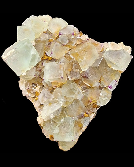 A cluster of light green to sea green cubic fluorite crystals, with hints of purple edges, set against a black background. The translucent, glassy crystals are interspersed with small, tan-colored mineral inclusions. This stunning specimen hails from the Dâures Constituency in the Erongo Region of Namibia and is offered by The Crystalary under the product name Fluorite- Brandberg Area.